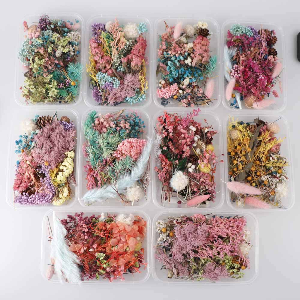 

1 Box Real Dried Flower Dry Plants For Aromatherapy Candle Epoxy Resin Pendant Necklace Jewelry Making Craft DIY Accessories, Multi