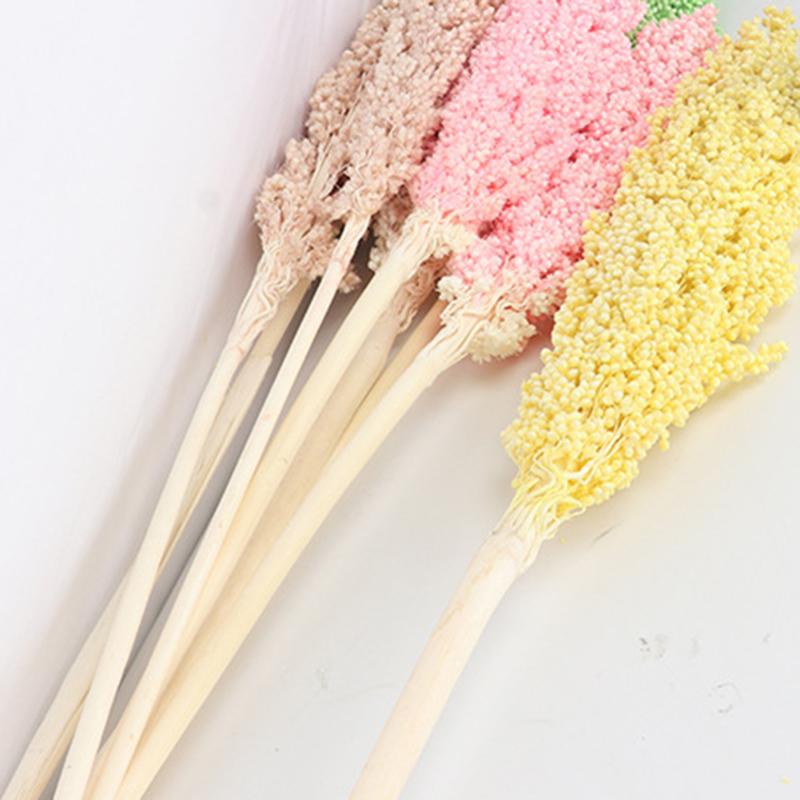 

2 Pcs/set Natural Dried Flower Really Touch Sorghum Bundle Preserved Flower DIY Wedding Floral Home Decoration, Green