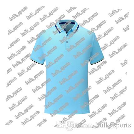 

2656 Sports polo Ventilation Quick-drying Hot sales Top quality men 201d T9 Short sleeve-shirt comfortable new style jersey00441547, Brown