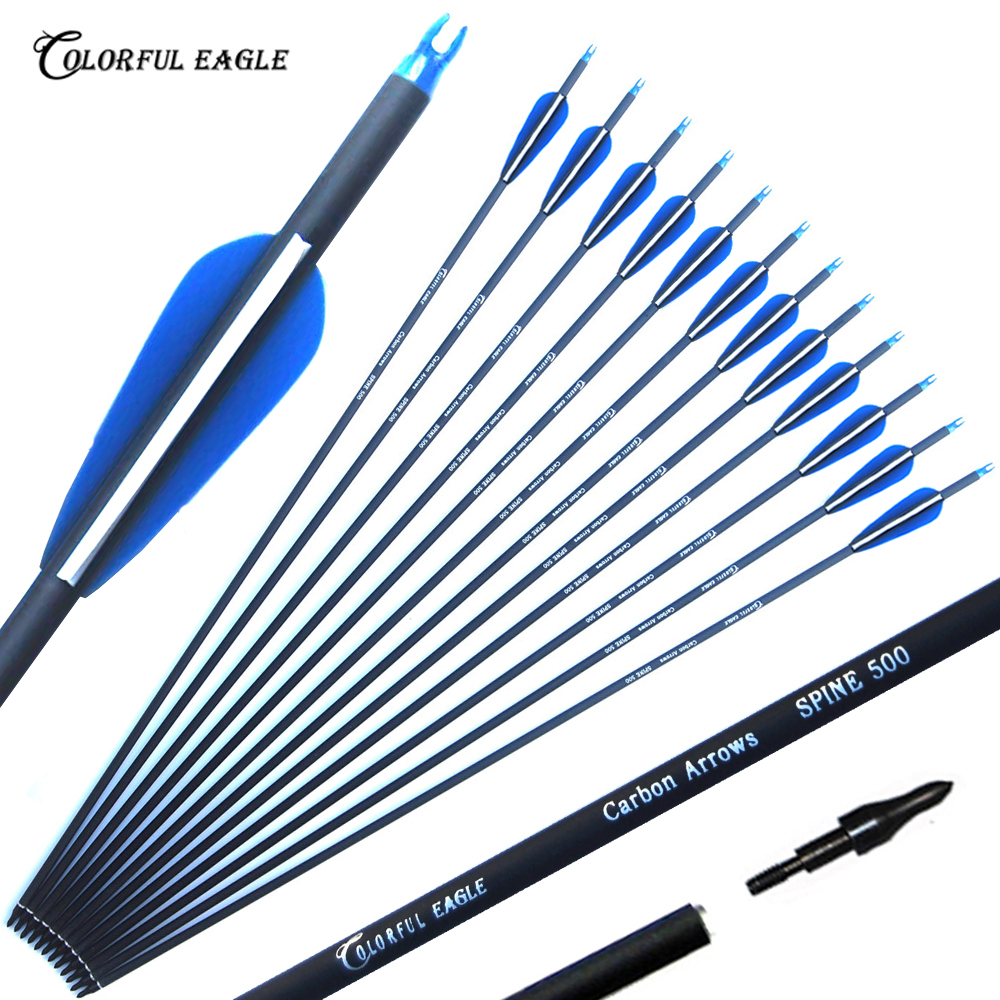 

28/30/31inch Carbon Arrows Archery with Replaceable Arrowhead for Compound Recurve bow Longbow Hunting shooting