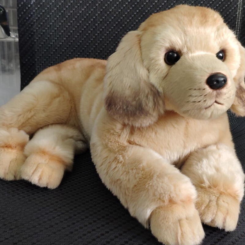 Animal Simulazione Qualità Golden Retriever Dog peluche molle farcito Prey Pet cane Doll 50X23cm DY50118