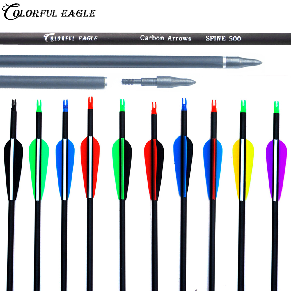 

30 inches Spine 500 Carbon Arrow with 3" Plastice Vanes for Recurve/Compound Bows Archery Hunting
