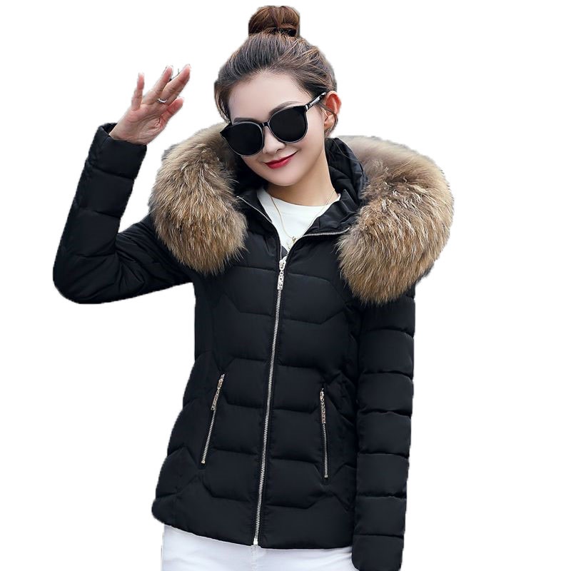 

Winter Jacket Women 2019 New Fashion Slim Female Coat Thicken Parka Down Cotton Clothing Fake fur collar womens winter coats, Gray 1