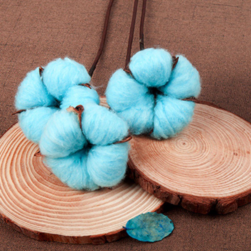 

10pcs Colorful Cotton Dried Flowers Kapok Bouquet Natural Irons Eternal Cotton Branches Home Garden Festive Party Supplies