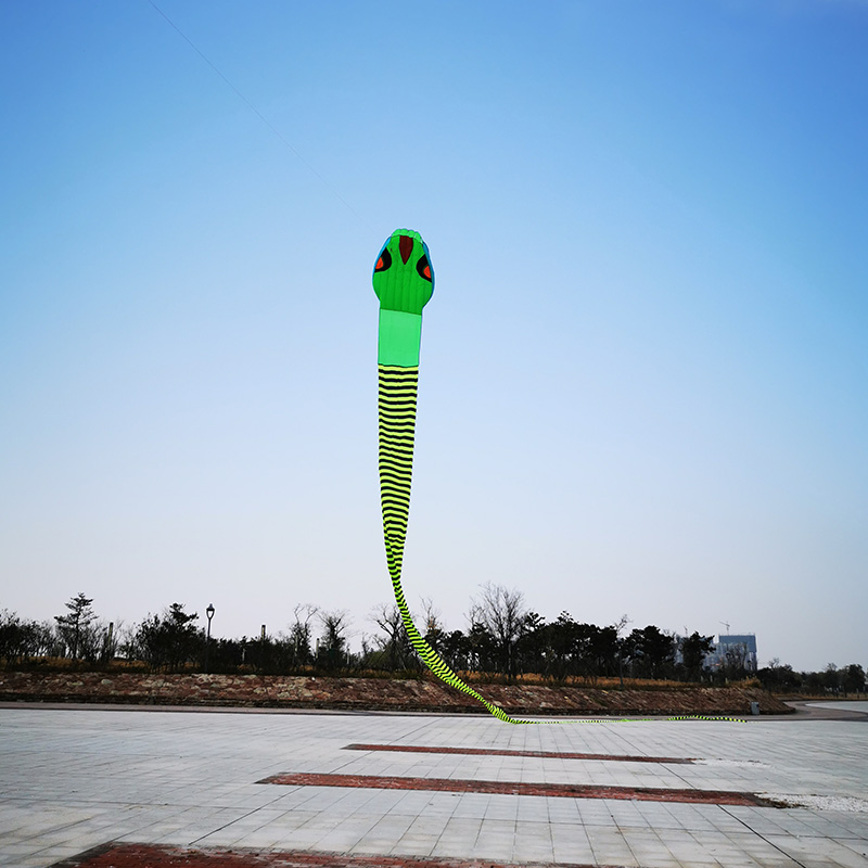 

Snake Kite 40m 3D Kite Colorful Skeleton-free Long Tail Easy to fly Beach Kites outdoor sport Play