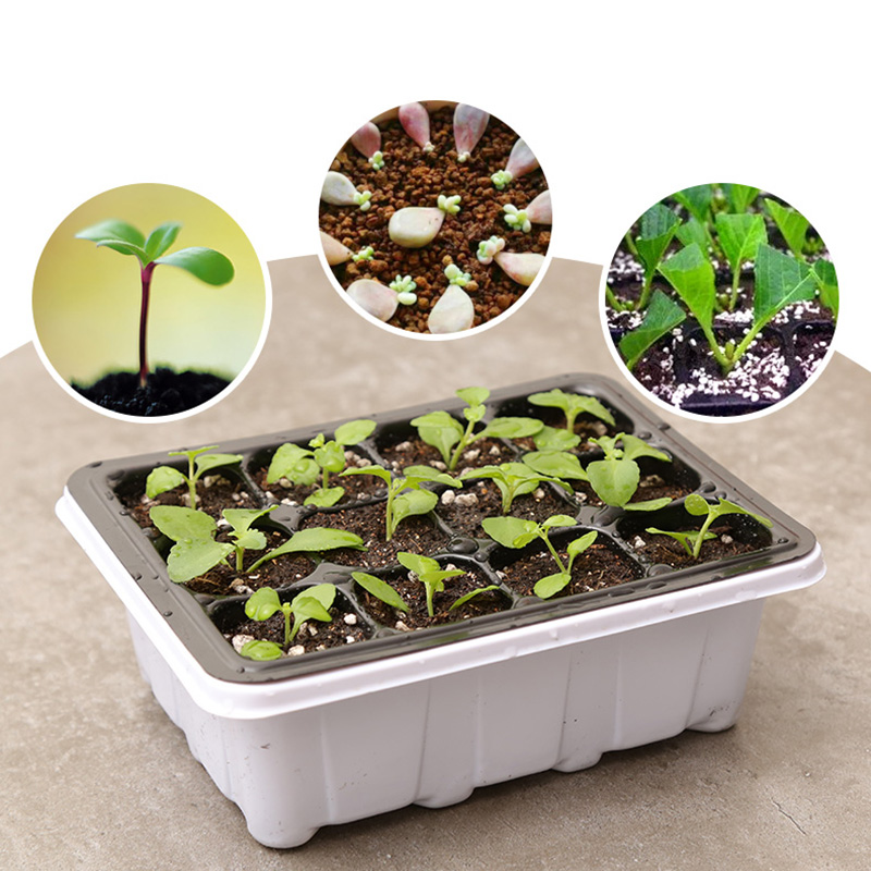 

6/12-hole Seedling Box Tray Seed Plant Starter Tray Garden Supply Home Gardening L5
