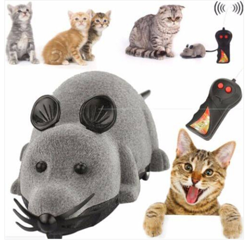 Nicht Nur Kostenlos Sondern Frei Elf Anlaufstellen Fur Bilder Im