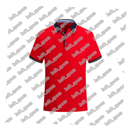 

2656 Sports polo Ventilation Quick-drying Hot sales Top quality men 201d T9 Short sleeve-shirt comfortable new style jersey117777555, Brown