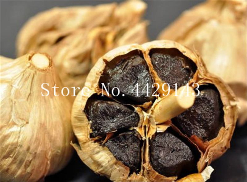 

Hot Sale 200 Pcs Seeds Garlic Bonsai Pure Natural And Organic Vegetable Bonsai Healthy And Delicious Pungent Spice Vegetable