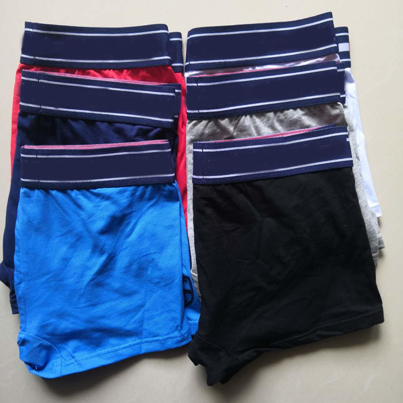 

5pcs/lot Sexy Famous New Mens Underwear Boxer Underpants Shorts Luxury Designer Men's Vintage Cotton Cueca Boxers Soft Adult Man Gay Boxer Short, Gray