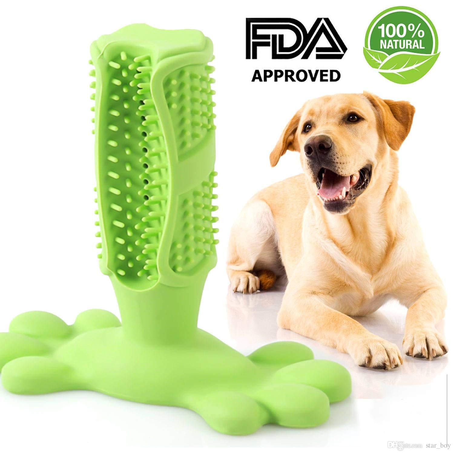 dog chewing toothbrush