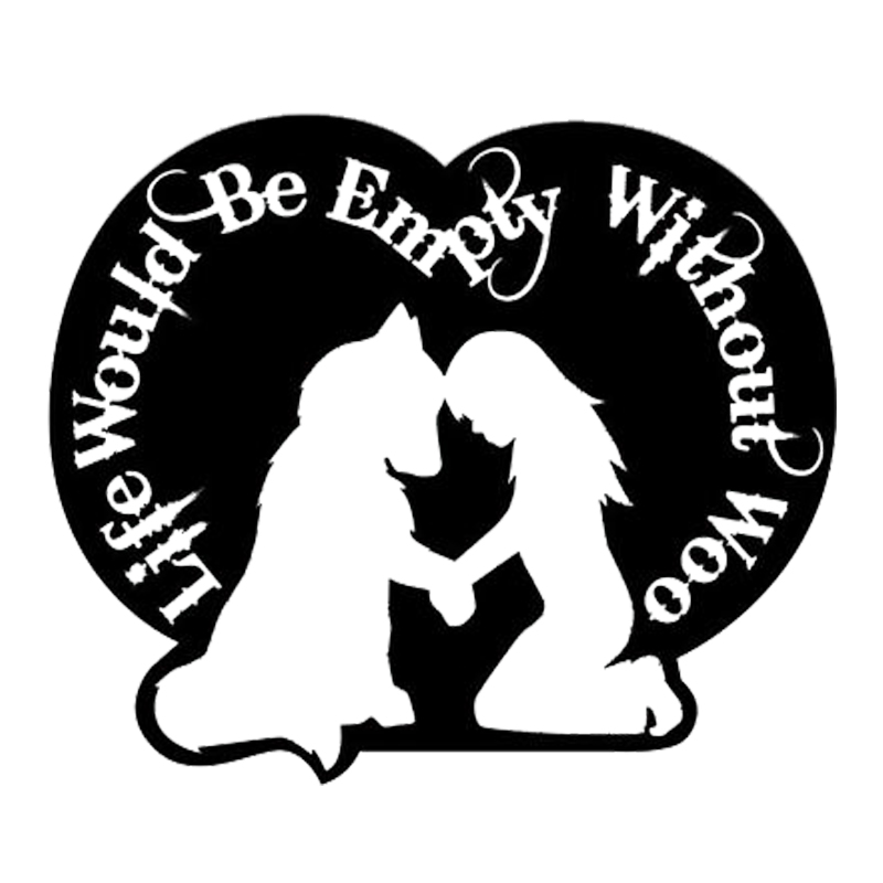 

16*13.6cm Life Would Be Empty Without Woo - Vinyl Sticker Decal Funny Car Window Bumper Novelty JDM Drift Vinyl Decal Sticker, Color