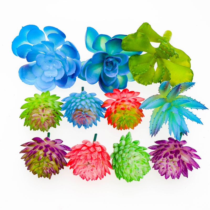 

11pcs Artificial Echeveria Succulent Set Fake Cactus Faux Succulent Stems Bonsai Plastic Decorative Desert Floral Arrangement, Hzmh201