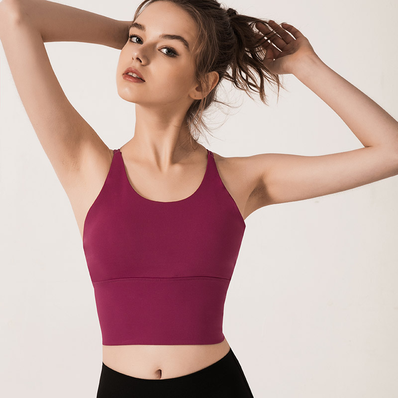 

2020 New Women High Stretch Breathable Sports Bra Top Fitness Removable Padded Sport Bra for Running Yoga Gym Seamless Crop