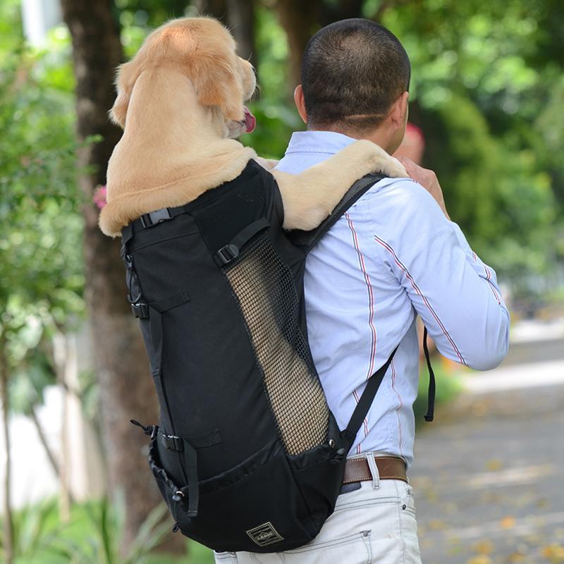 big pet carrier