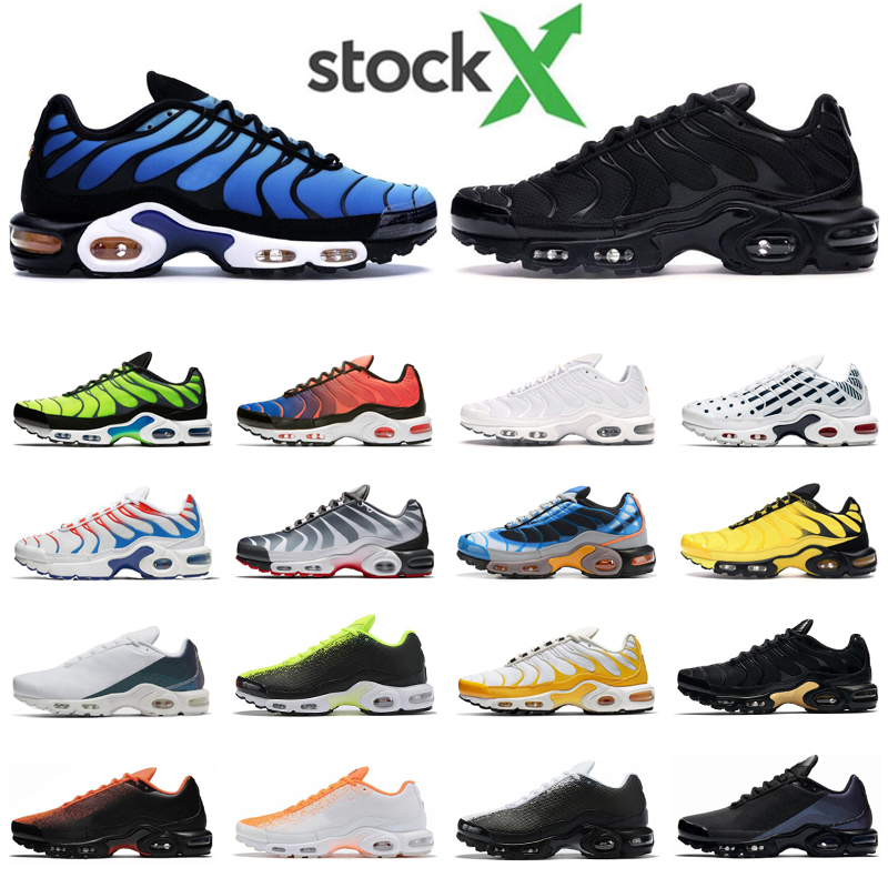 scarpe squalo 2019