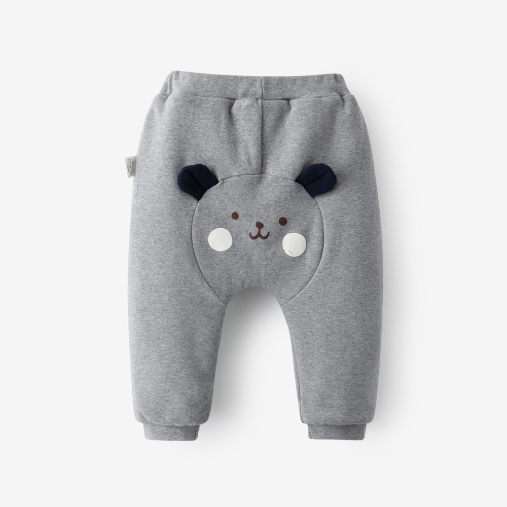 Gray little bear