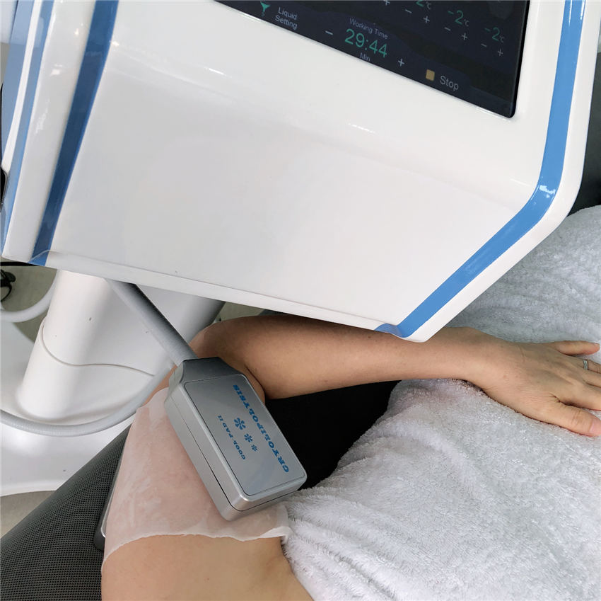 

New Cryolipolysis lipo cold fat freeze bodyt slim slimming weight loss Portable lose weight beaty machine EMS cryolipolysis fat freezing