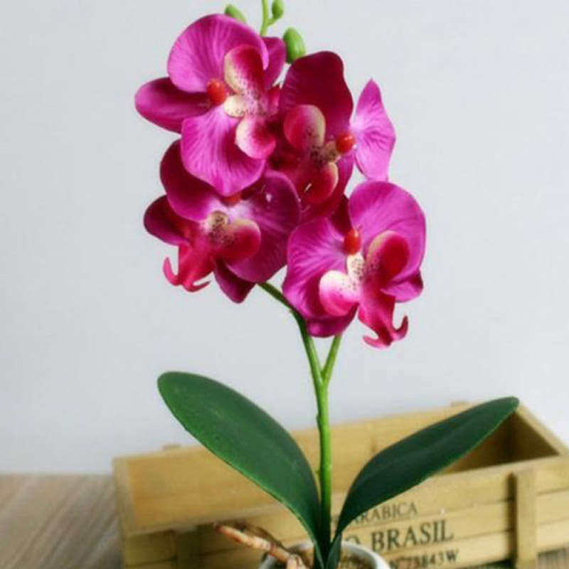 

Creative Flowers Fancy Four Butterfly Orchid Meaty Plant Bonsai Flower Arranging Accessories NOV99, Pink