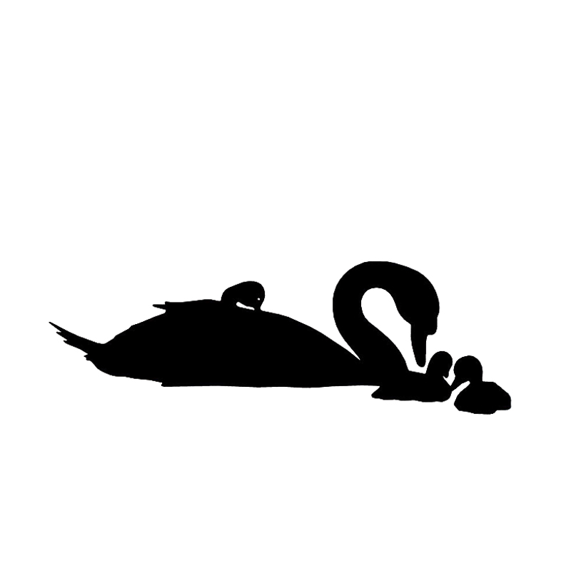 

16*5.3cm Swan and Swanlings Family Warm And Romantic Motorcycle SUVs Bumper Car Window Laptop Car Stylings, Color