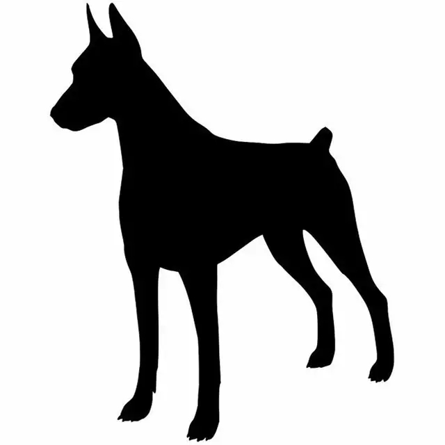 2 x JDM OEM Jack russel Heartbeat chiens autocollant sticker décalque 20 CM