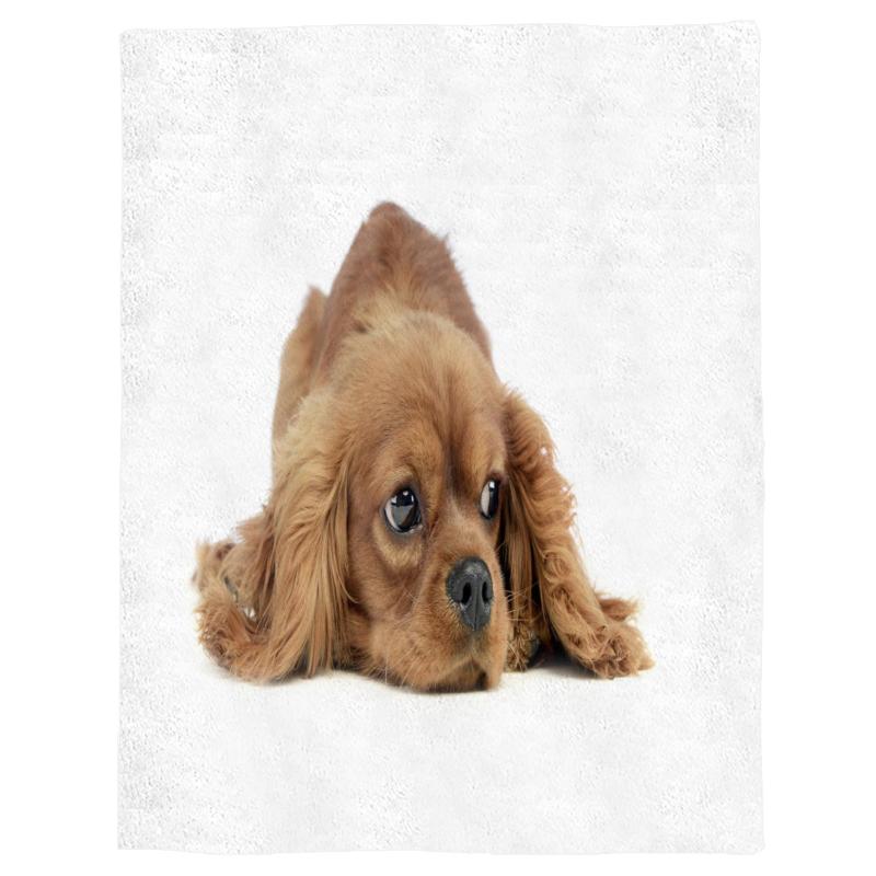 

Animal Brown Dog Cute Furry Spring and Autumn Soft Flannel Blanket Office Siesta Blanket Sofa Bed