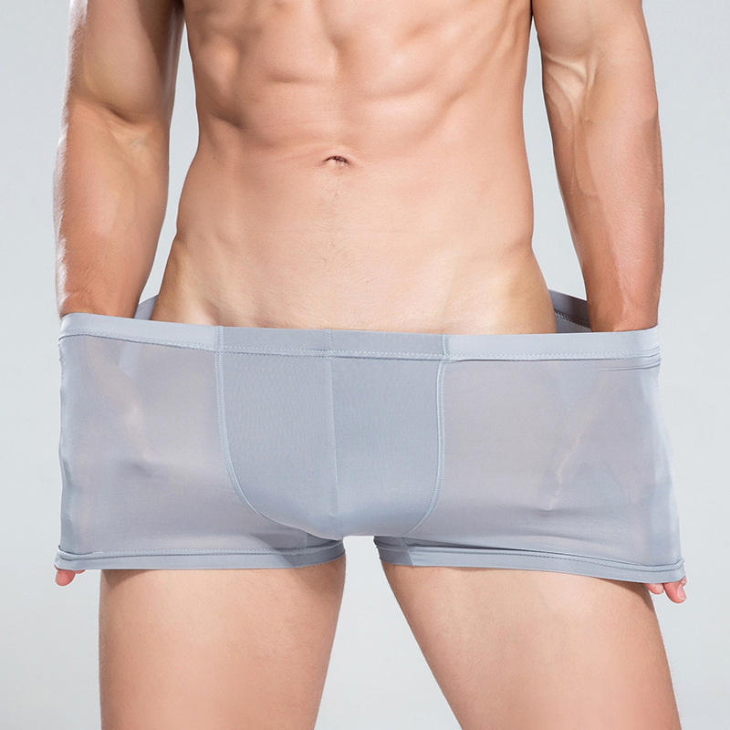 

New Products Solid Color Viscose Knicker Water Absorbent Breathable Sexy Transparent Summer MEN'S Boxers Source, White