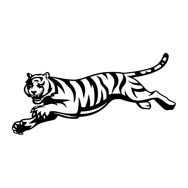 

16*8cm Jumping Tiger Car Truck Vinyl Decal Sticker Funny Car Window Bumper Novelty JDM Drift Vinyl Decal Sticker, Color