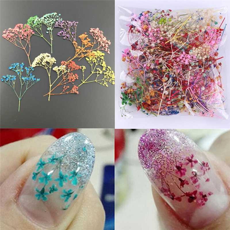 

10pcs Mixed Dried Flowers Nail Art Decoration DIY 10 Colors Dry Flower Manicure Decoration for UV Gel Acrylic Nail Art Tips