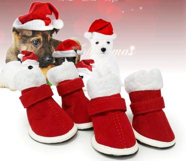 dog shoes online shop