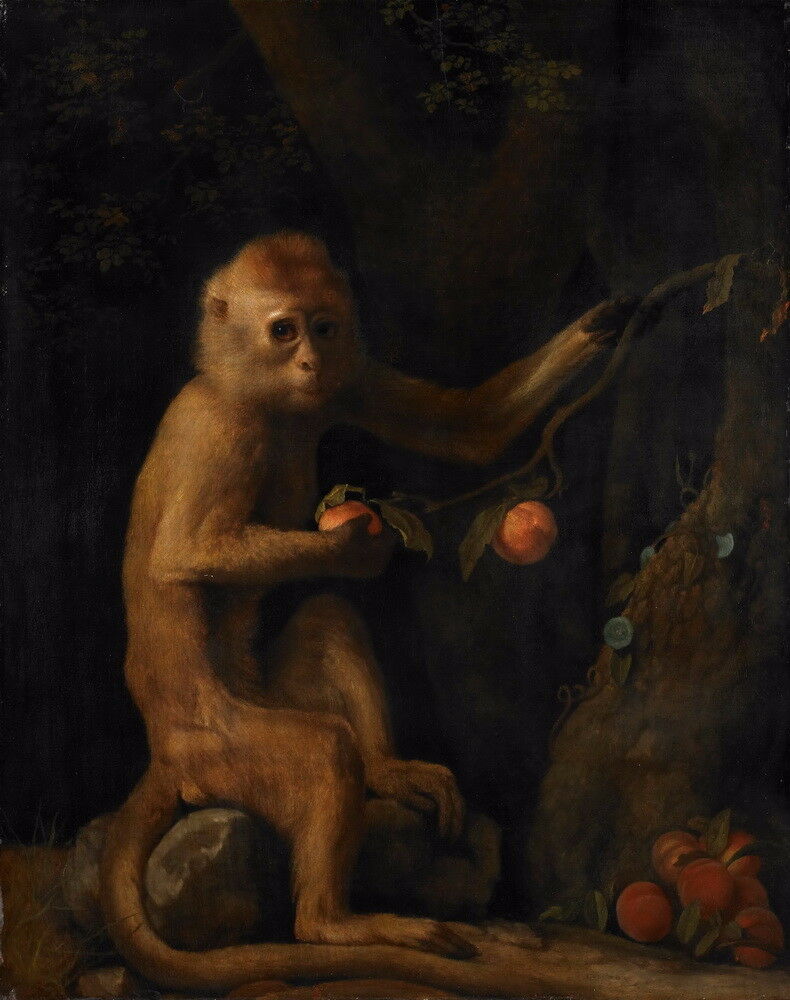

George Stubbs A Monkey Home Decor Handcrafts /HD Print Oil Painting On Canvas Wall Art Canvas Pictures 191117