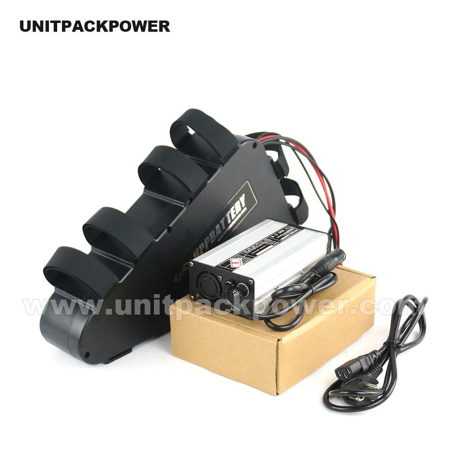 

New 48V 20Ah ebike Triangle Plastic case Battery 48V 1000W Electric Bike Lithium Battery with USB and Charger