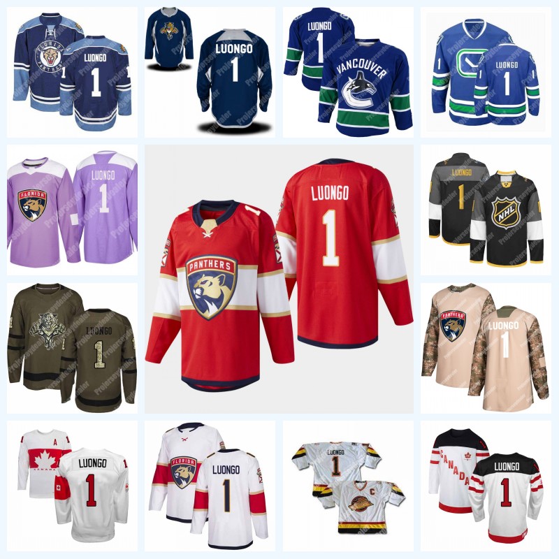 

1 Roberto Luongo 25th Anniversary Florida Panthers Vancouver Canucks Third Premier Green Authentic Salute To Service Ice Hockey Jersey, Black;red