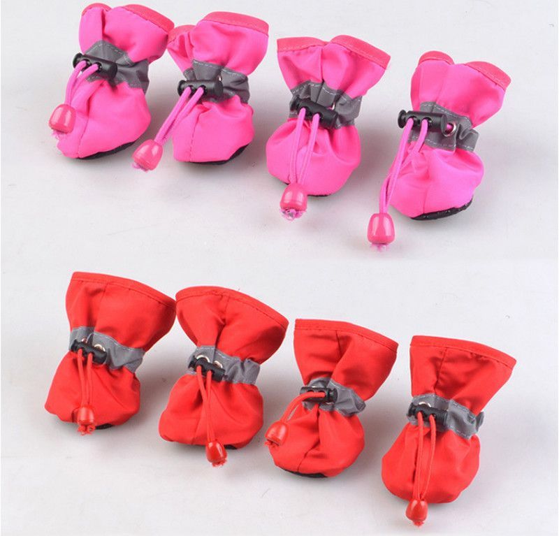 red shoes for dogs