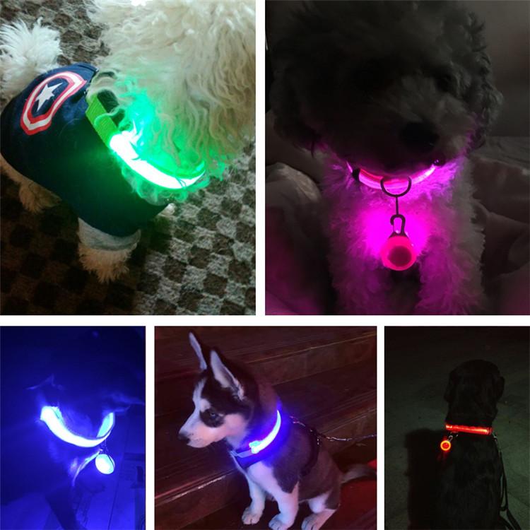 

2020 USB Cable LED Nylon Dog Collar Dog Cat Harness Flashing Light Up Night Safety Pet Collars multi color XS-XL Size Christmas Accessories