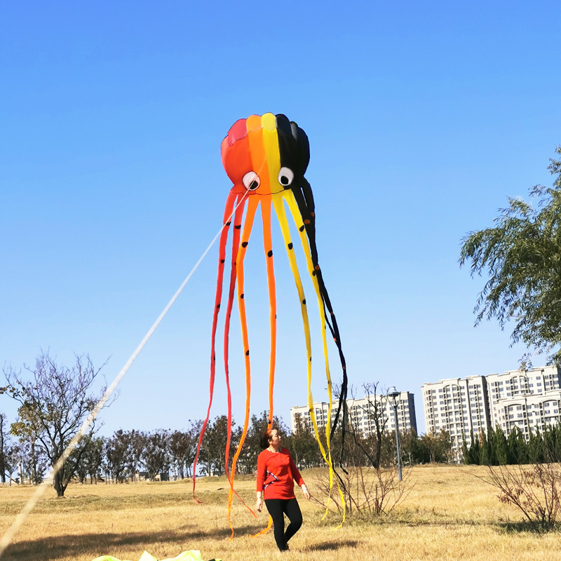 

Octopus Kite 3D Kite Cartoon Colorful Skeleton-free Long Tail Easy to fly Beach Kites outdoor sport Play