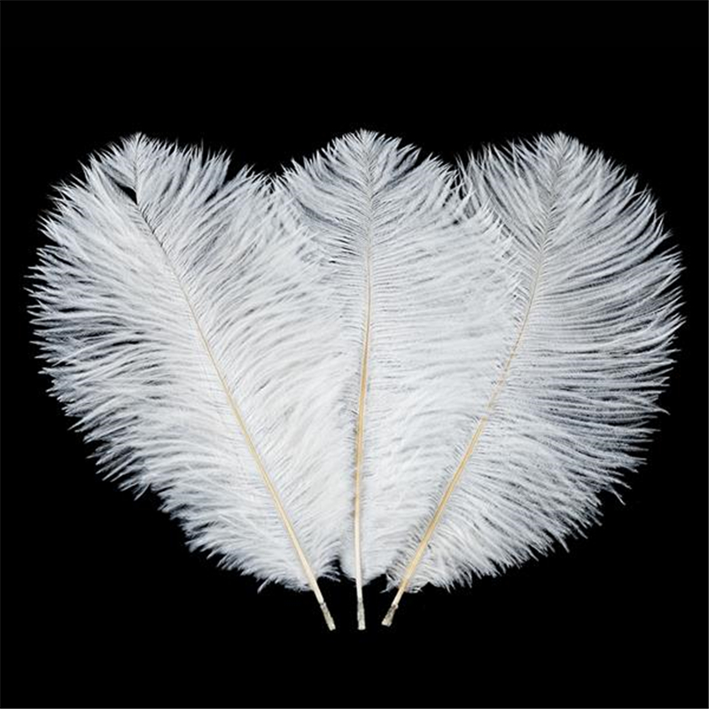 Gros lot de 500 plumes blanche