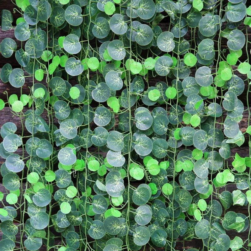 ivy vine leaves