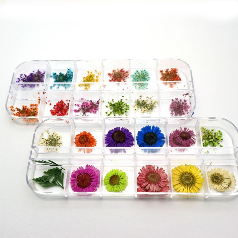 

Mixed Natural Dried Flowers Nails 3D Pressed Blossom Real Preserved Floral Dried Flowers Sticker Nail Art Decorations