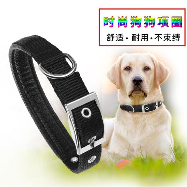 dogs accessories online shopping