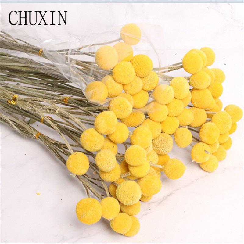 

10pcs/lot Natural dried flower Golden ball real flower bouquet for family Dining table wedding decoration Photography props