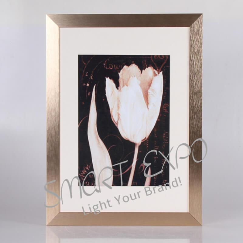 

Customized Aluminum Photo Frame/Customer Design Photo Bracket /Gifts Photo Frame with 6 Frame Colors (E09A15 H18mm W29mm)