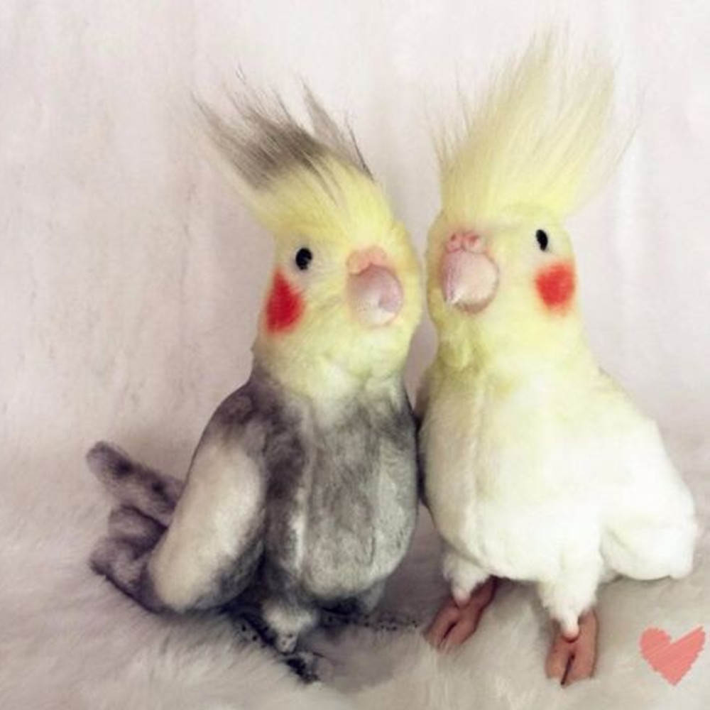 Lovely Bird Doll Simulated Cockatoo Plush Toy Black Cockatiel Yellow ...