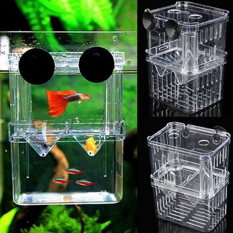 

Aquarium Fish Breeding Box Pet Fish Tank Guppy Double Breeding Breeder Rearing Hatchery Splits Fish Tank Turtle Reptile House Promotion