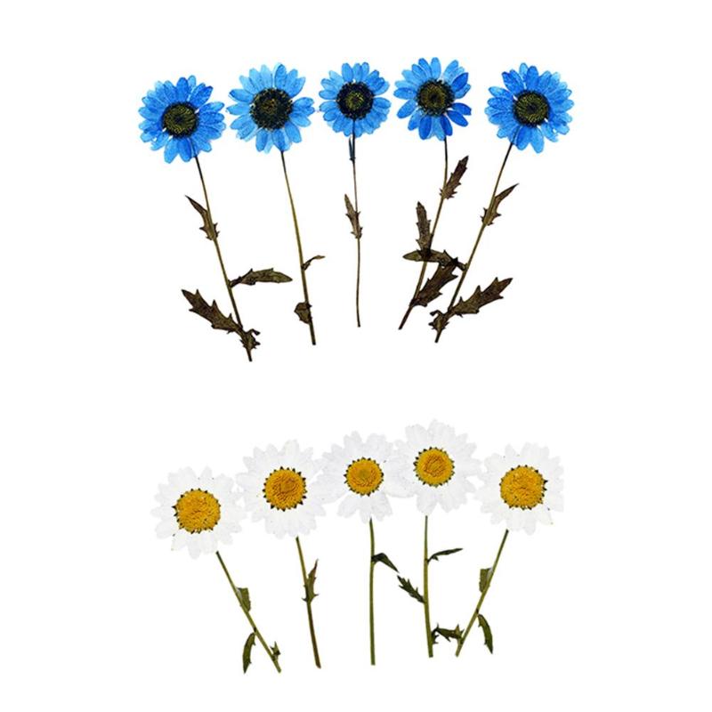 

5PCS Epoxy Dried Flowers Jewelry Materials Handmade DIY Accessories With Branch Party supplies, Blue