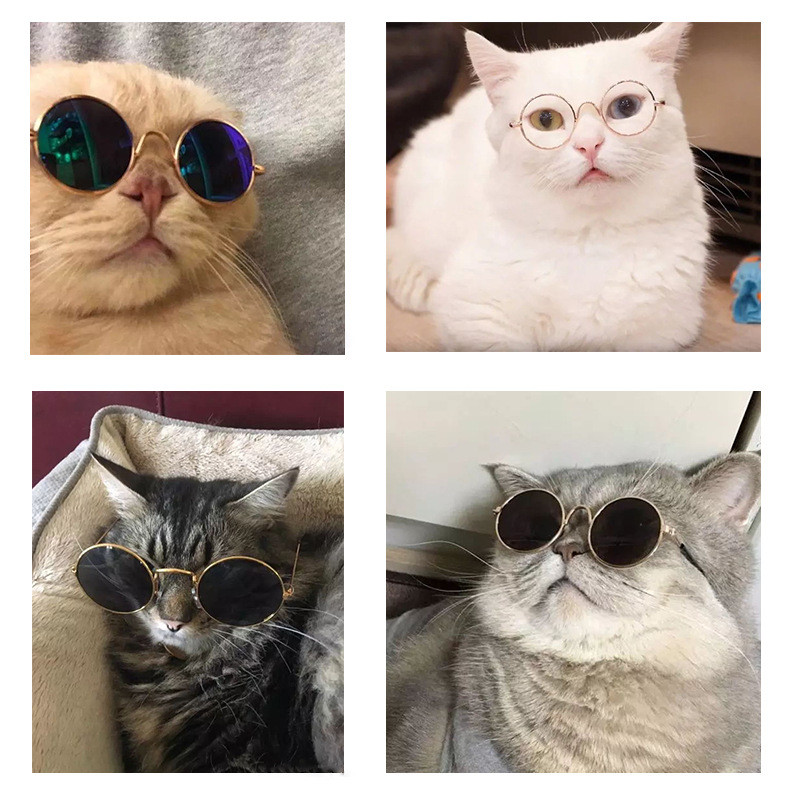 

Pet Sunglasses New Fashion Pet Cat Dog Sunglasses UV Sun Glasses Eye Protection Wear Dog Supplies Pet Doctor 8cm 11cm cny2086, Random