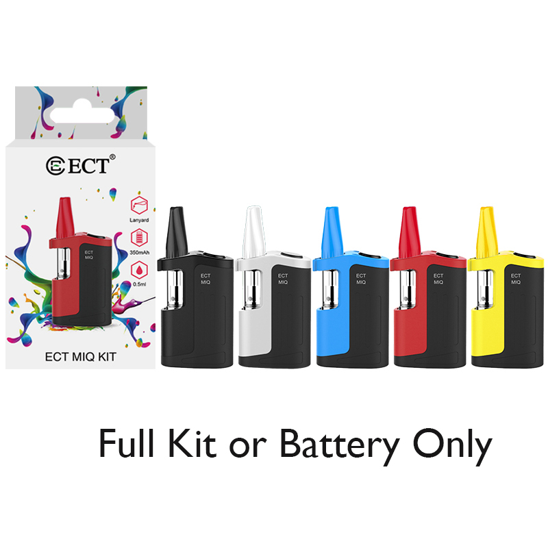 Batteriebox BATTERIA CASSETTA grande dimensione con Cinghia BATTERIA CASSETTA GRANDE