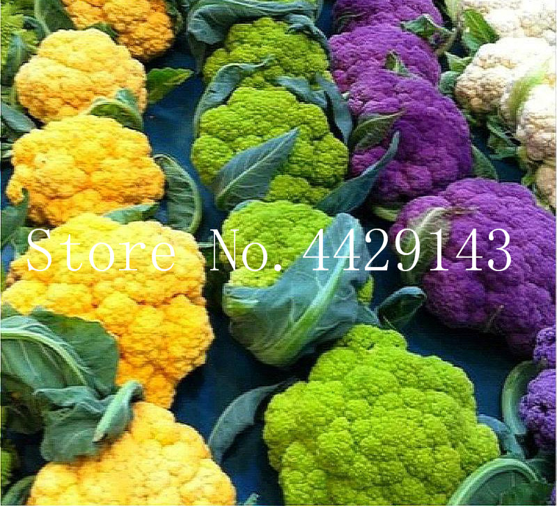 

100 pcs Rare Organic Romanesco Tower Broccoli Bonsai, Roman Cauliflower Fractal Heads Broccoflower Vegetables seeds DIY Home & Garden