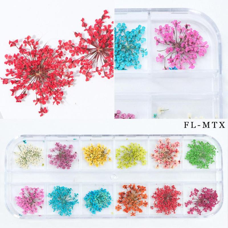 

12 Lattices Dried Flower Nail Polish Art Tip Decal 3D Natural Floral Stickers Manicure Handcraft DIY Tool Nail Decorations