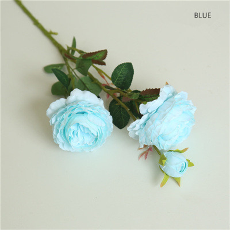 BLUE COLOR
